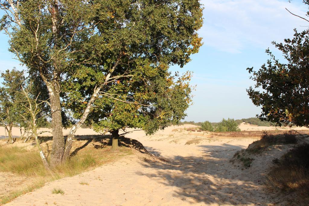 Natuurpoort Van Loon Loon op Zand Exterior photo